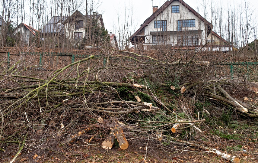 Były drzewa i krzewy, będzie fotowoltaika zdjęcie nr 320870