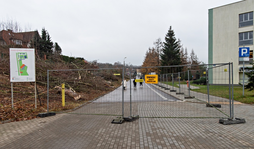 Były drzewa i krzewy, będzie fotowoltaika zdjęcie nr 320866