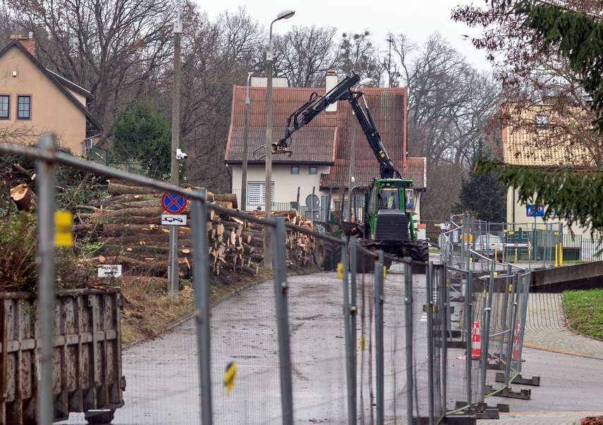 Były drzewa i krzewy, będzie fotowoltaika zdjęcie nr 320873