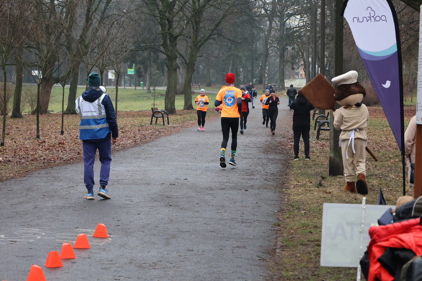 WOŚP i parkrun zagrali razem  zdjęcie nr 323966