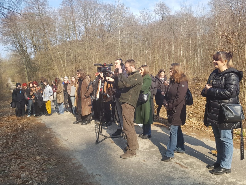 Nowa ścieżka leśnej terapii już otwarta zdjęcie nr 327368