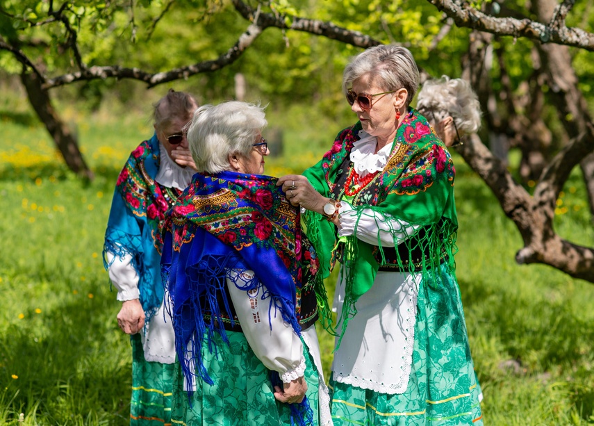 sasanki zdjęcie nr 329618