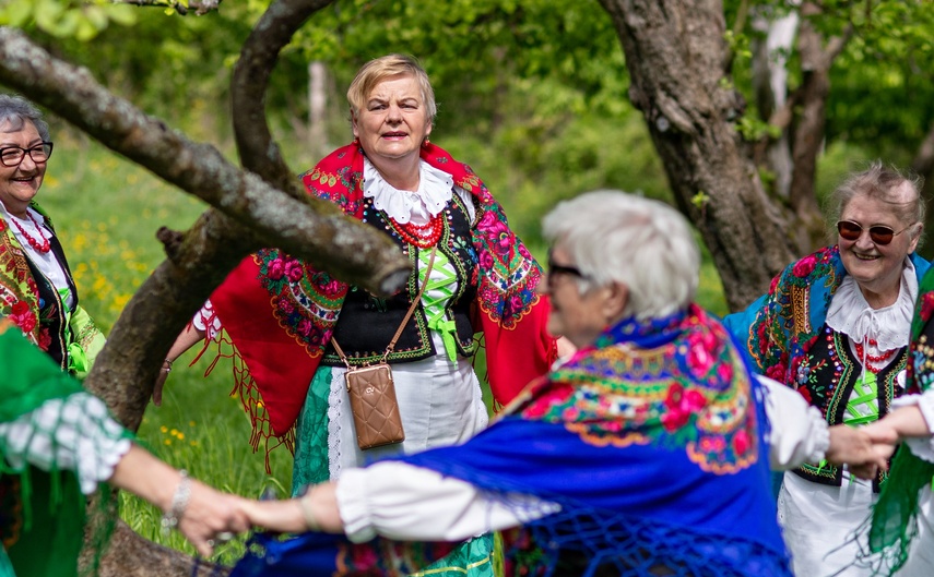 sasanki zdjęcie nr 329634