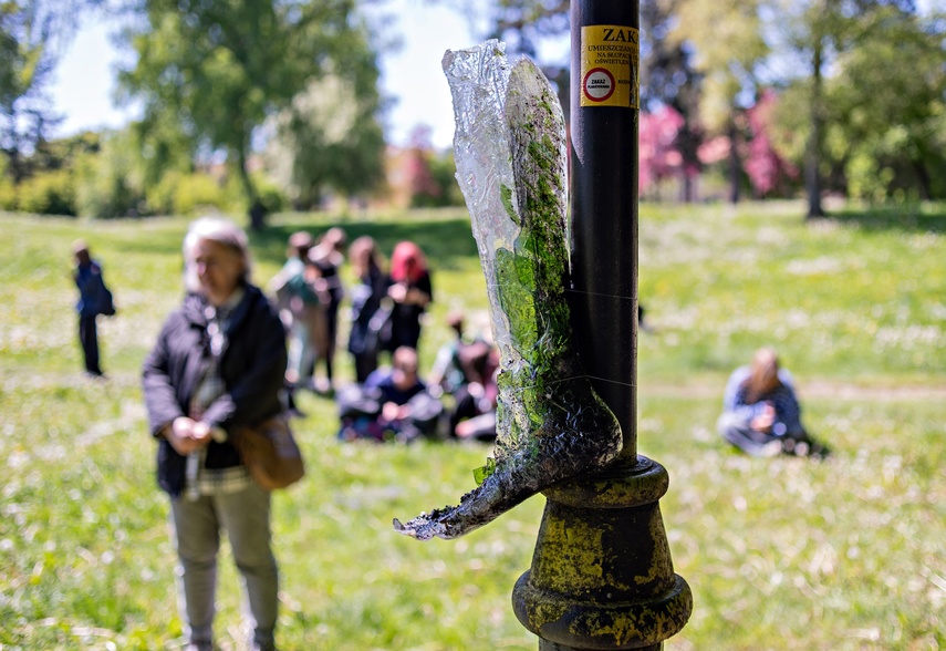 Wena w parku Kajki zdjęcie nr 329738