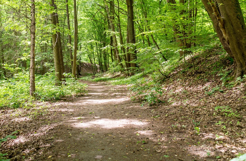 Bażantarnia czeka na kolarzy MTB zdjęcie nr 330538