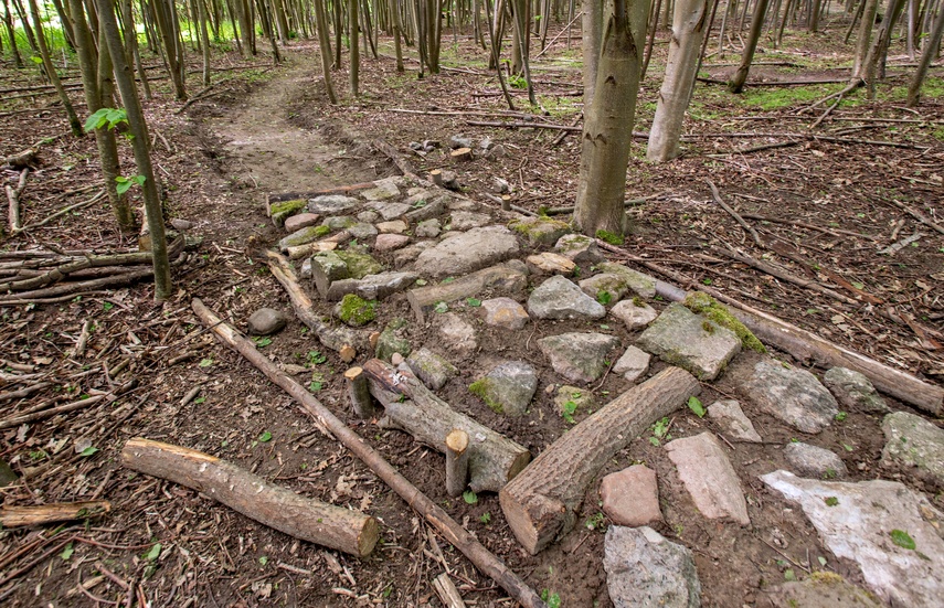 Bażantarnia czeka na kolarzy MTB zdjęcie nr 330528