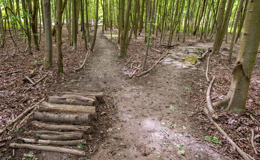 Bażantarnia czeka na kolarzy MTB zdjęcie nr 330527