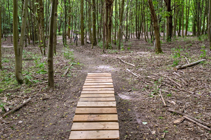 Bażantarnia czeka na kolarzy MTB zdjęcie nr 330521