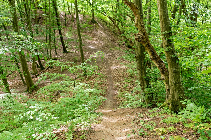Bażantarnia czeka na kolarzy MTB zdjęcie nr 330537