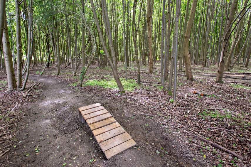 Bażantarnia czeka na kolarzy MTB zdjęcie nr 330525
