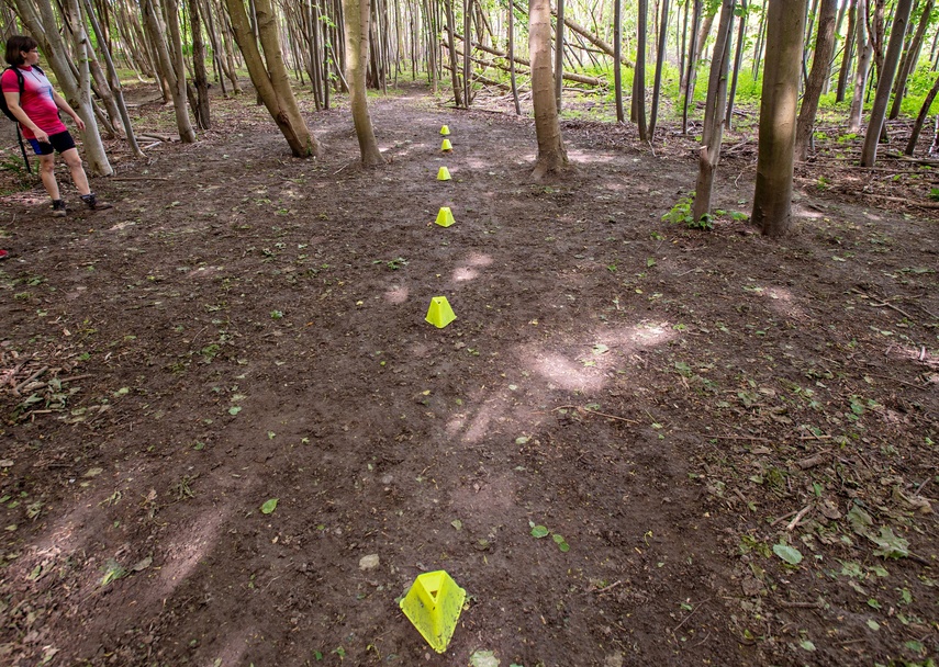 Bażantarnia czeka na kolarzy MTB zdjęcie nr 330526