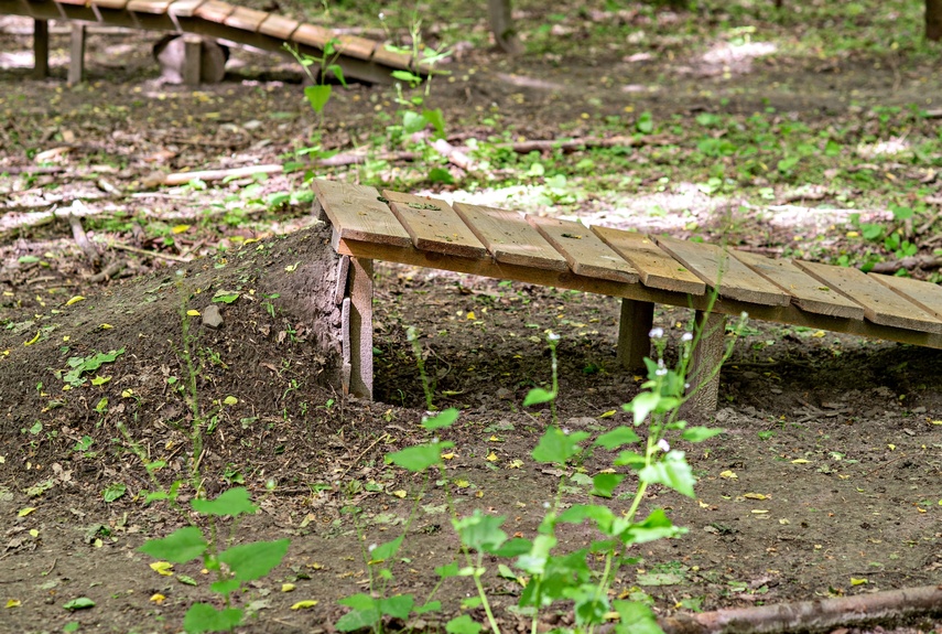 Bażantarnia czeka na kolarzy MTB zdjęcie nr 330531