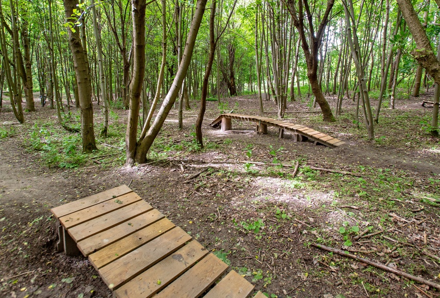 Bażantarnia czeka na kolarzy MTB zdjęcie nr 330533
