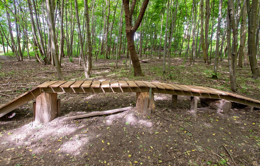 Bażantarnia czeka na kolarzy MTB zdjęcie nr 330532