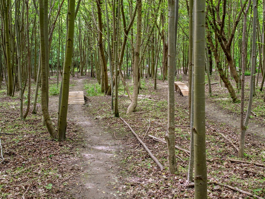 Bażantarnia czeka na kolarzy MTB zdjęcie nr 330523