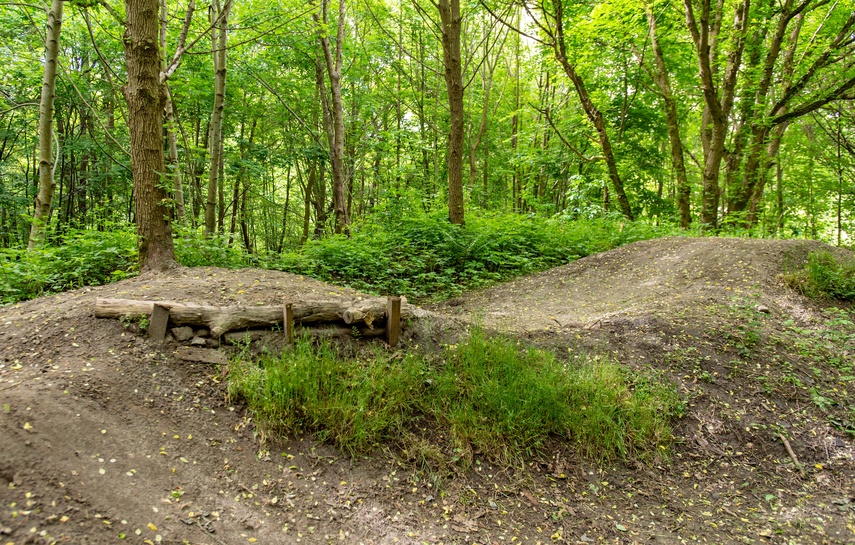 Bażantarnia czeka na kolarzy MTB zdjęcie nr 330536