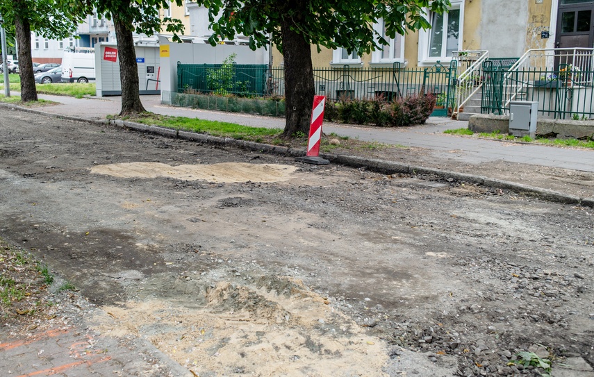 Ogrodowa jak nowa zdjęcie nr 330618