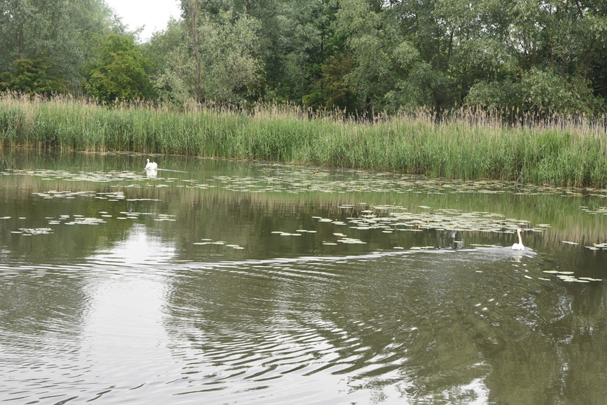 Jantar wrócił do domu zdjęcie nr 330887