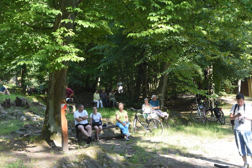 Inauguracja XXVIII Letniego Salonu Muzycznego zdjęcie nr 333529