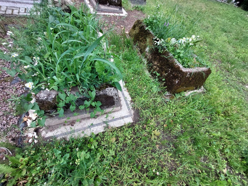 Pęciszewo zdjęcie nr 333912