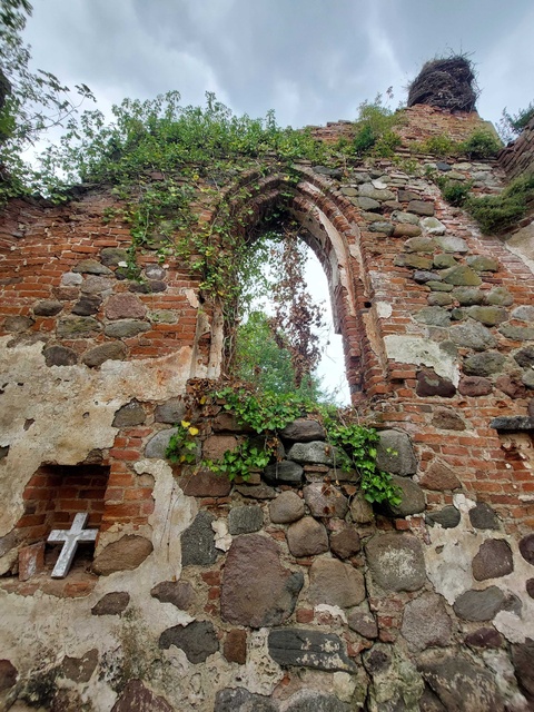 Pęciszewo zdjęcie nr 333909