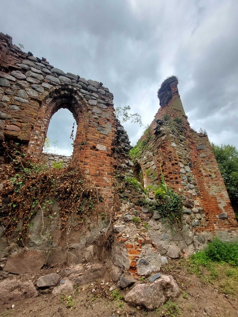 Pęciszewo zdjęcie nr 333915