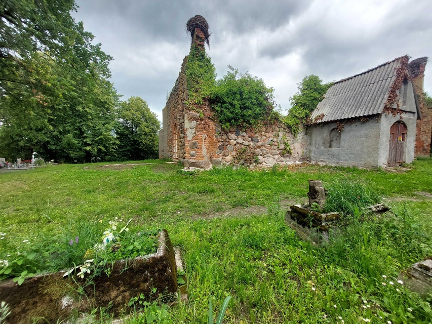 Pęciszewo zdjęcie nr 333913