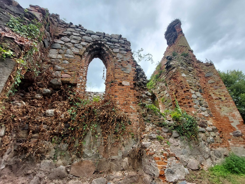 Pęciszewo zdjęcie nr 333916