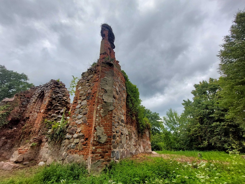 Pęciszewo zdjęcie nr 333918