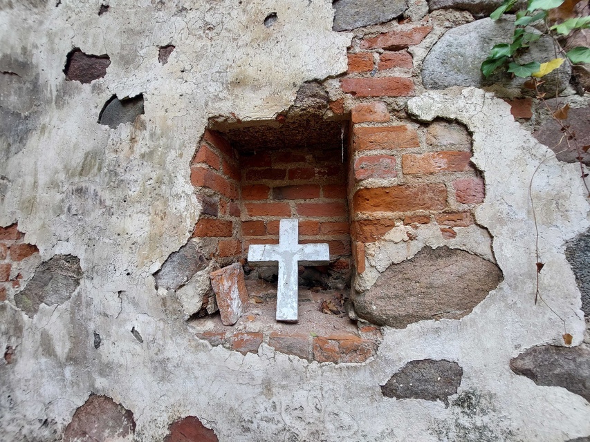 Pęciszewo zdjęcie nr 333907