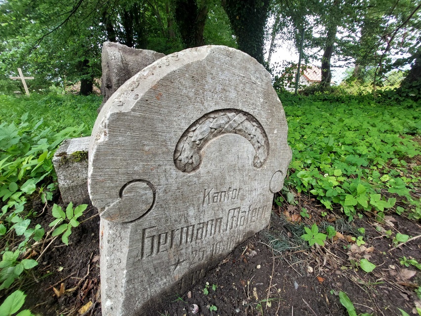 Pęciszewo zdjęcie nr 333919