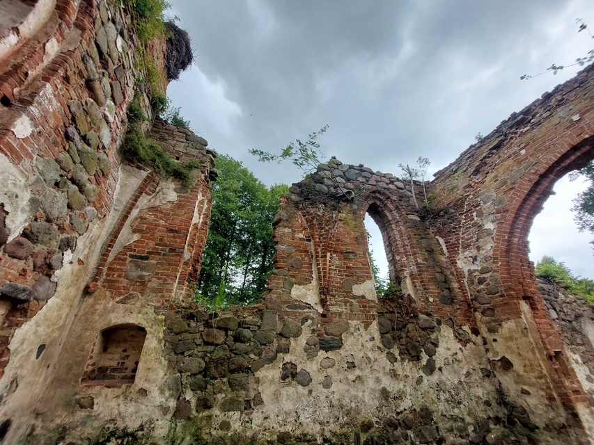 Pęciszewo zdjęcie nr 333908