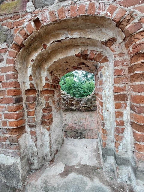 Pęciszewo zdjęcie nr 333905