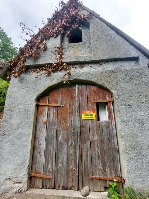 Pęciszewo zdjęcie nr 333914