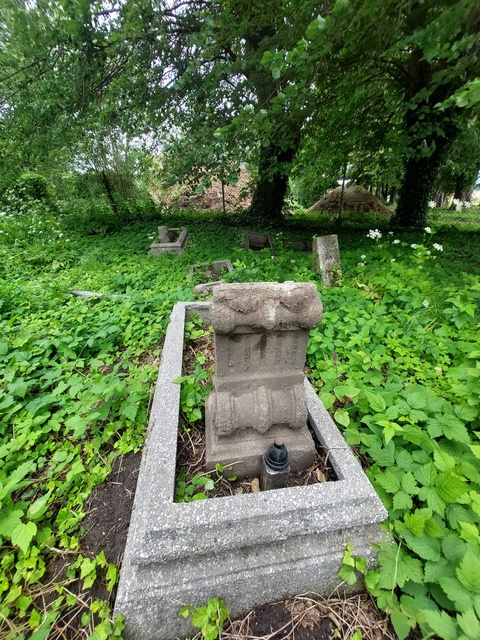 Pęciszewo zdjęcie nr 333917