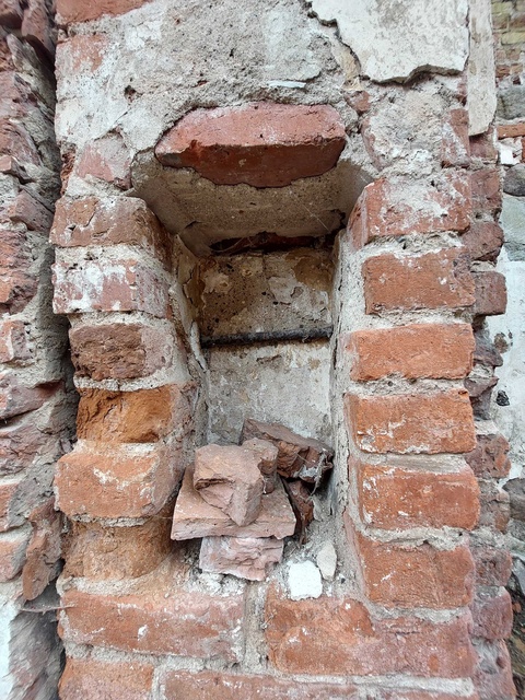 Pęciszewo zdjęcie nr 333910