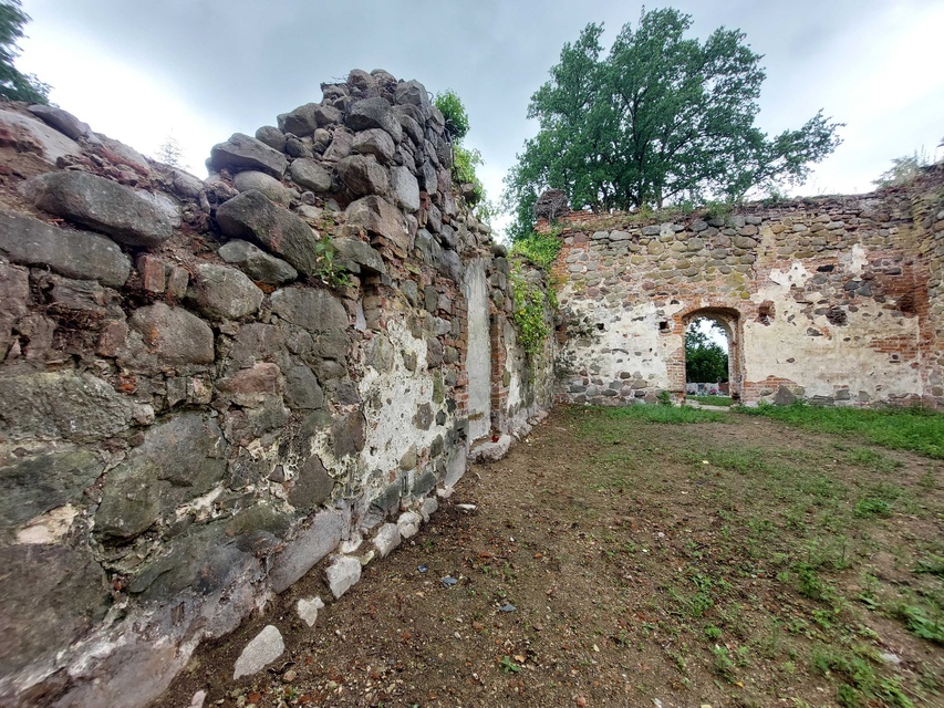 Pęciszewo zdjęcie nr 333911