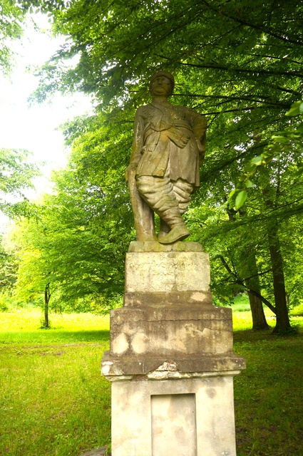 Waplewo zdjęcie nr 334186