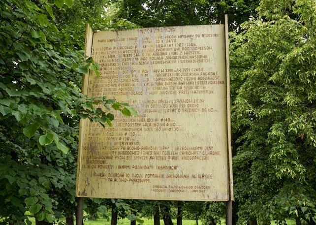 Waplewo zdjęcie nr 334171