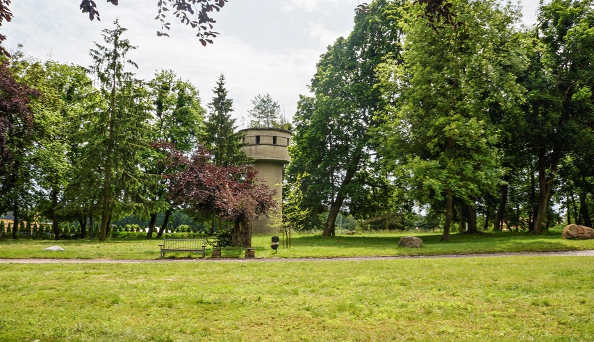 Waplewo zdjęcie nr 334163