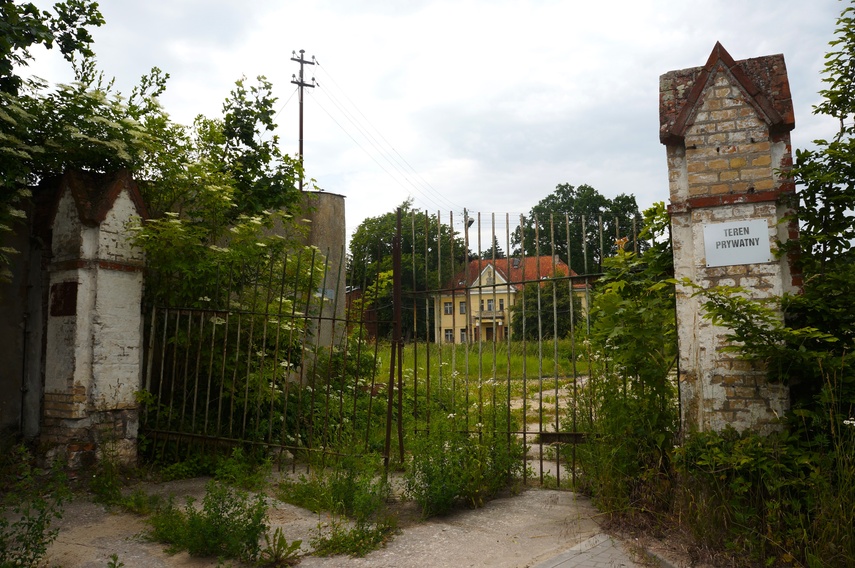 Waplewo zdjęcie nr 334184