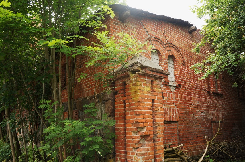 Waplewo zdjęcie nr 334182