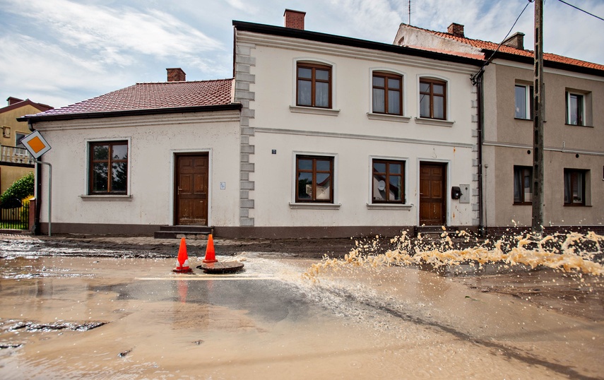Wielkie sprzątanie po wielkiej wodzie zdjęcie nr 334710