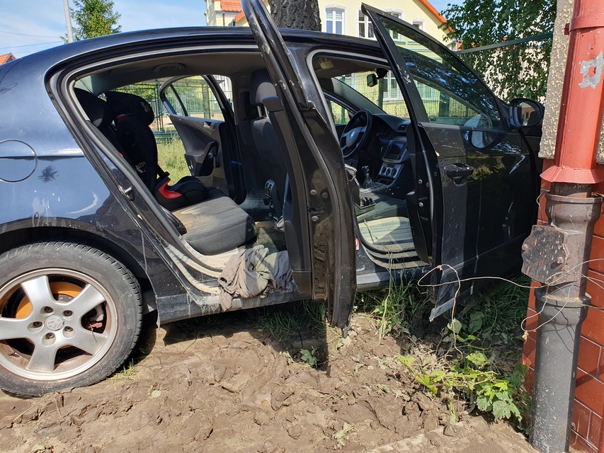 Wielkie sprzątanie w Tolkmicku zdjęcie nr 334807