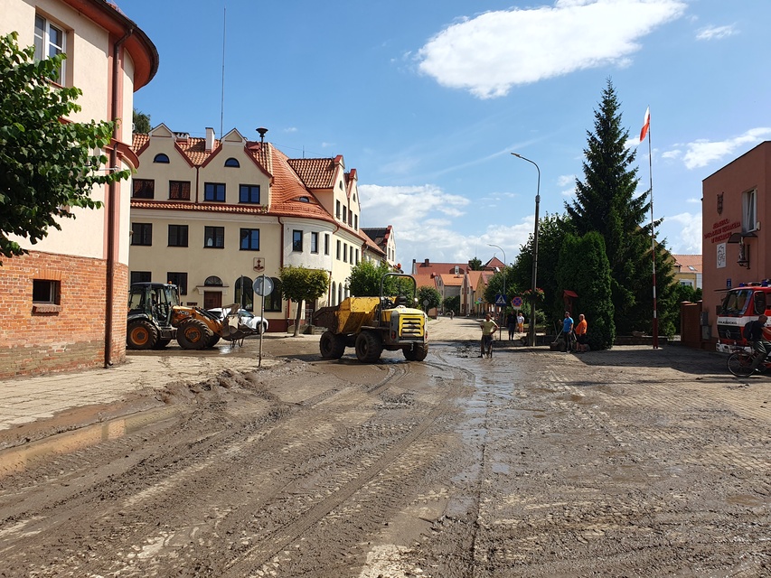 Wielkie sprzątanie w Tolkmicku zdjęcie nr 334789