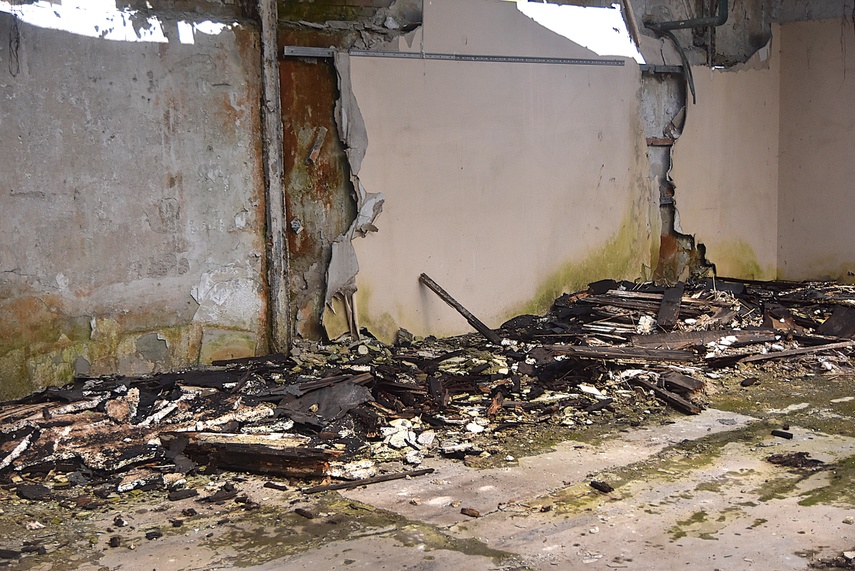 Rośliny wracają do hal po Komnicku zdjęcie nr 334863
