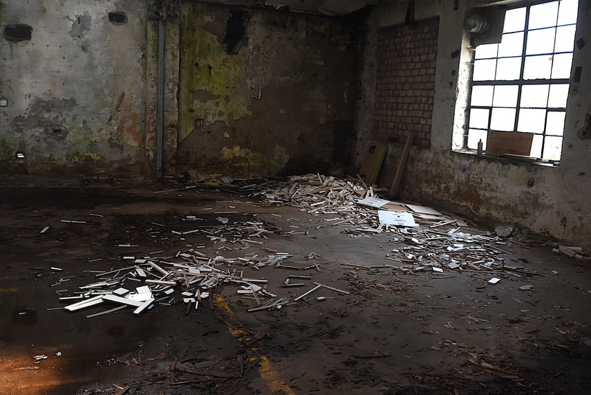 Rośliny wracają do hal po Komnicku zdjęcie nr 334858