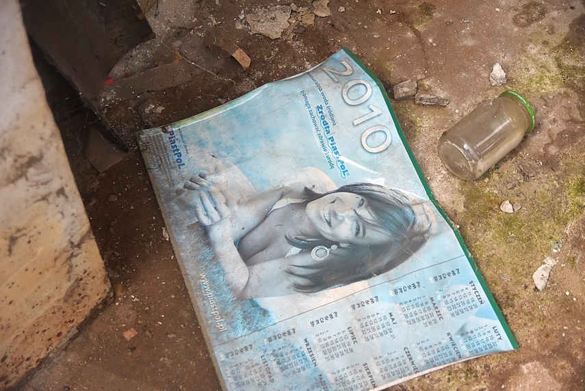 Rośliny wracają do hal po Komnicku zdjęcie nr 334861