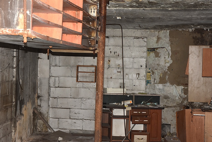 Rośliny wracają do hal po Komnicku zdjęcie nr 334876