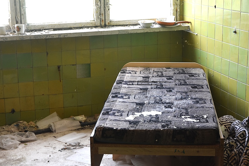 Rośliny wracają do hal po Komnicku zdjęcie nr 334907